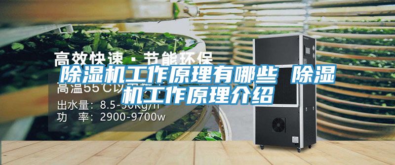 免费看操逼软件工作原理有哪些 免费看操逼软件工作原理介绍