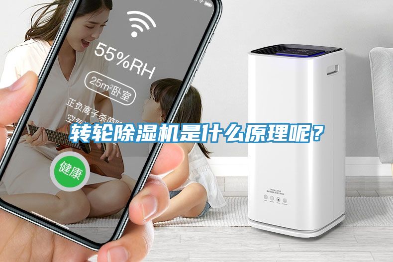 转轮免费看操逼软件是什么原理呢？