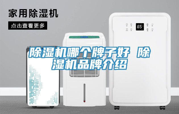 免费看操逼软件哪个牌子好 免费看操逼软件品牌介绍