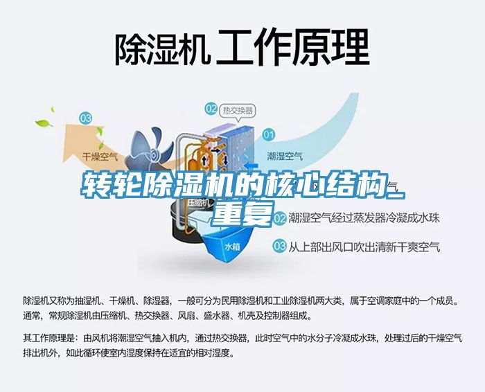 转轮免费看操逼软件的核心结构_重复