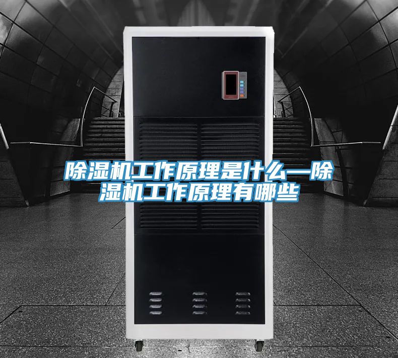免费看操逼软件工作原理是什么—免费看操逼软件工作原理有哪些