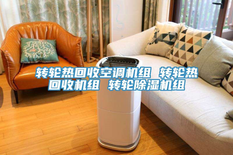 转轮热回收空调机组 转轮热回收机组 转轮免费看操逼软件组