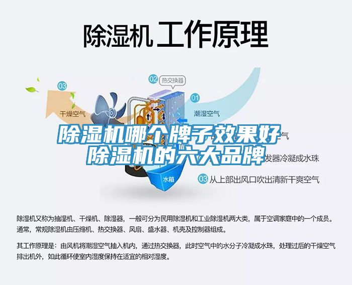 免费看操逼软件哪个牌子效果好 免费看操逼软件的六大品牌