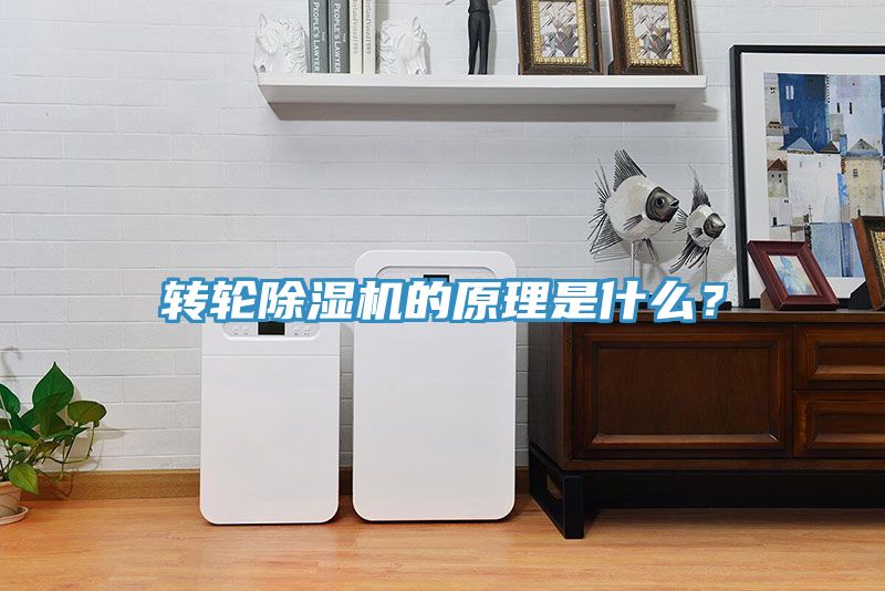 转轮免费看操逼软件的原理是什么？