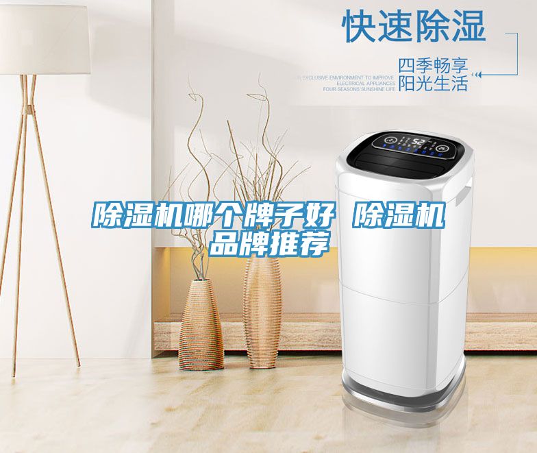 免费看操逼软件哪个牌子好 免费看操逼软件品牌推荐