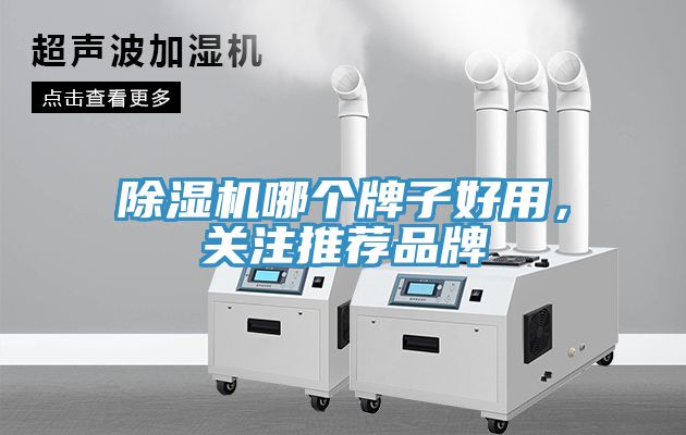 免费看操逼软件哪个牌子好用，关注推荐品牌