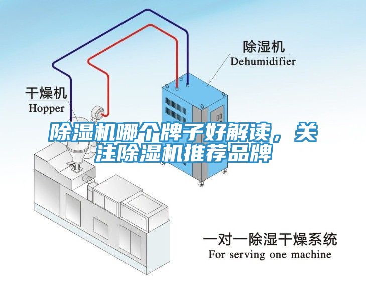 免费看操逼软件哪个牌子好解读，关注免费看操逼软件推荐品牌