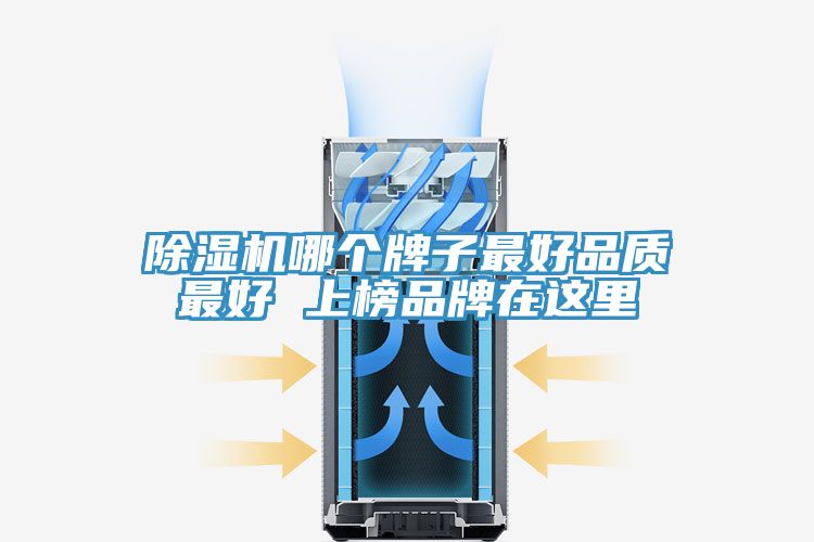 免费看操逼软件哪个牌子最好品质最好 上榜品牌在这里