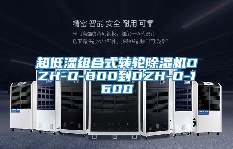 超低湿组合式转轮免费看操逼软件DZH-D-800到DZH-D-1600