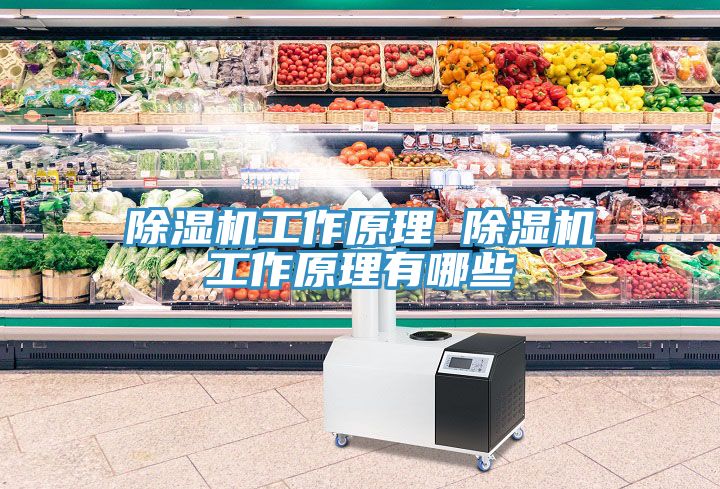 免费看操逼软件工作原理 免费看操逼软件工作原理有哪些