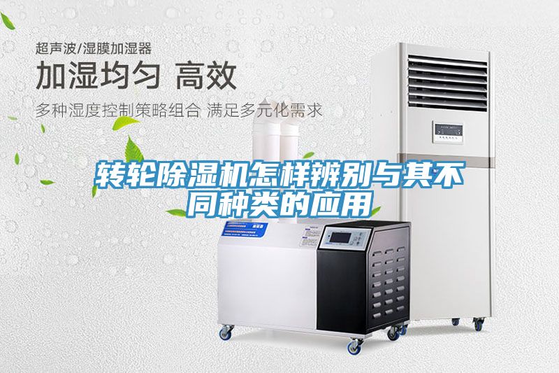 转轮免费看操逼软件怎样辨别与其不同种类的应用