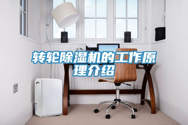 转轮免费看操逼软件的工作原理介绍