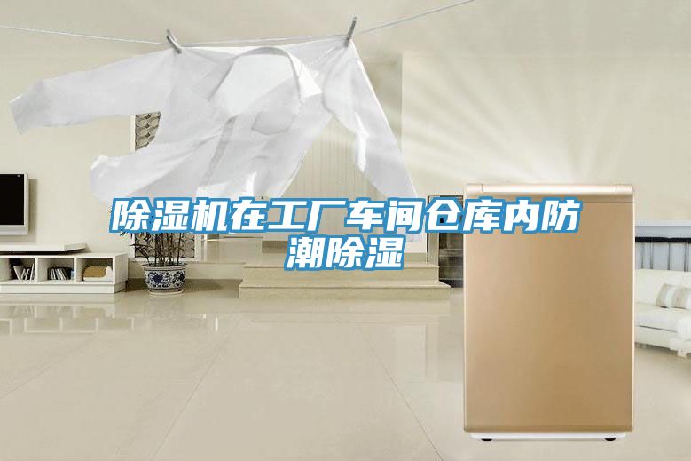 免费看操逼软件在工厂车间仓库内防潮除湿
